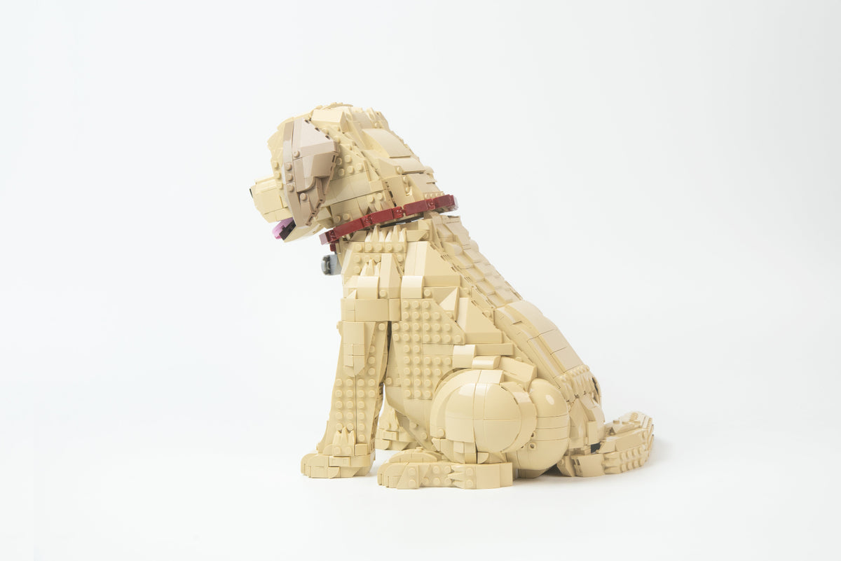 Bloxdog Labrador Puppy Building Set | Bloxday
