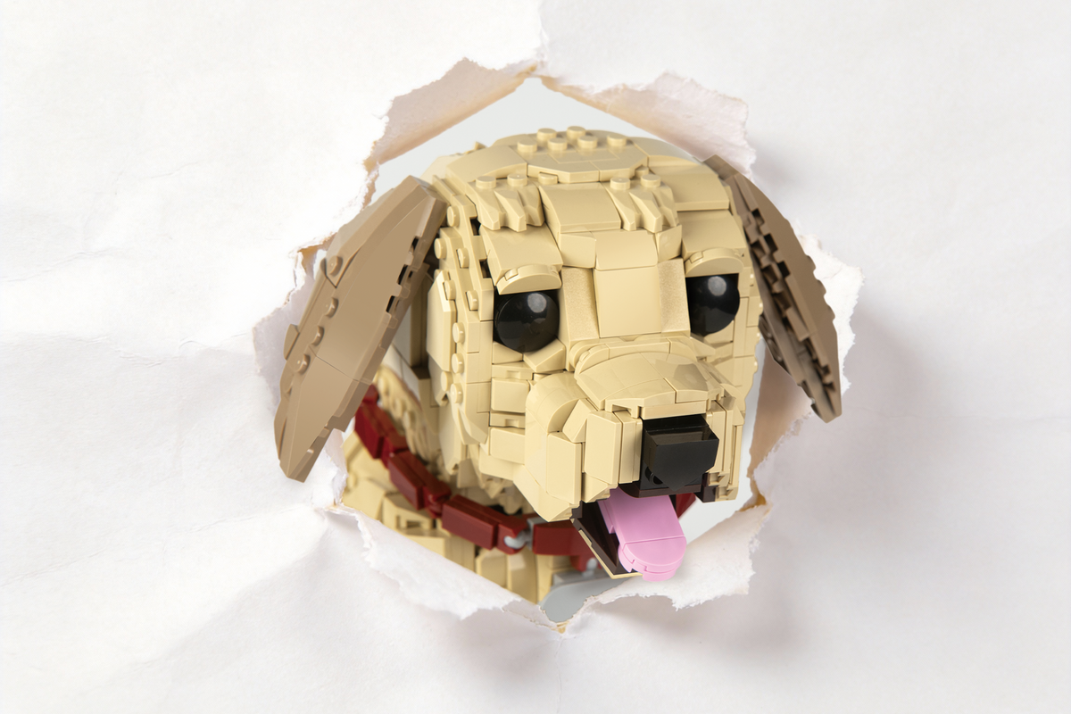 Bloxdog