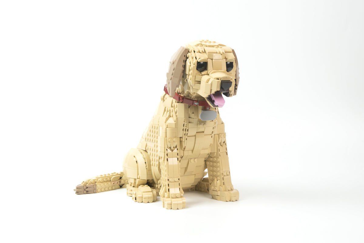 Bloxdog Labrador Puppy Building Set | Bloxday